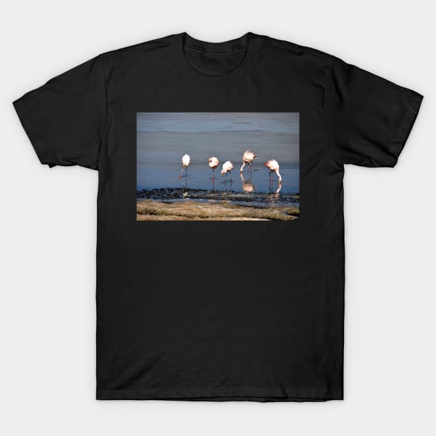 Bolivie - Salar d'Uyuni T-Shirt by franck380
